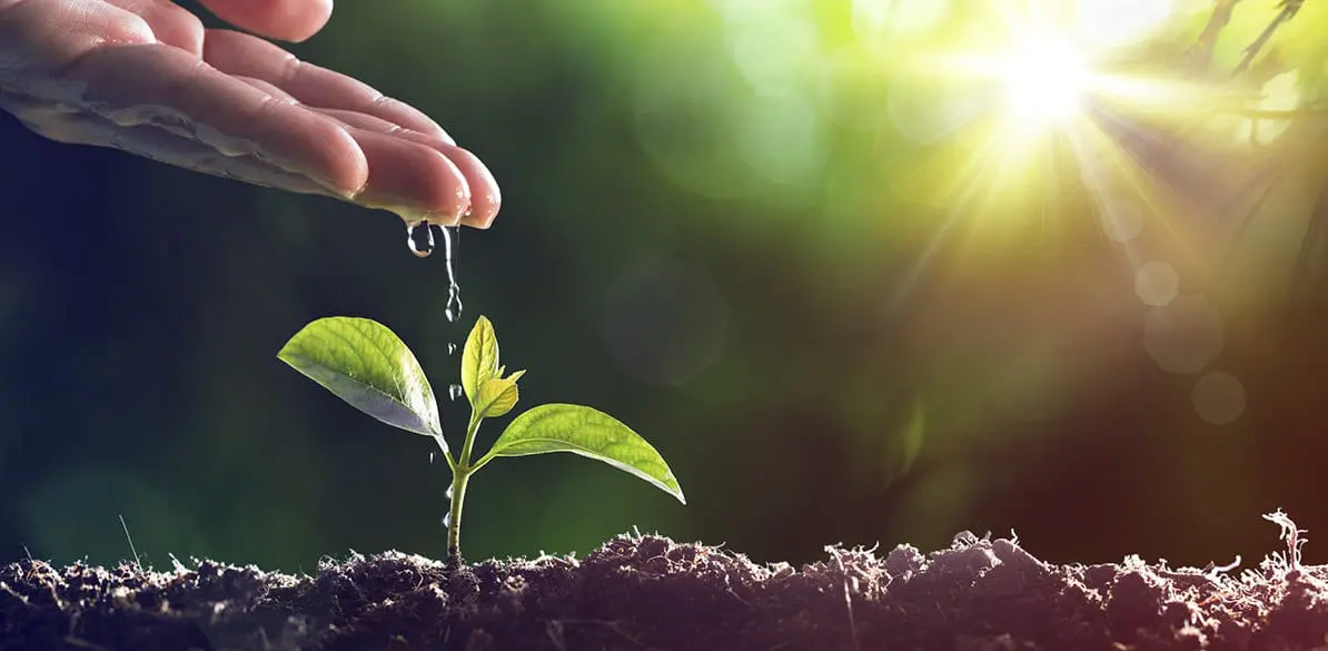Agua y tierra Innovaciones para proteger recursos fundamentales en la agricultura