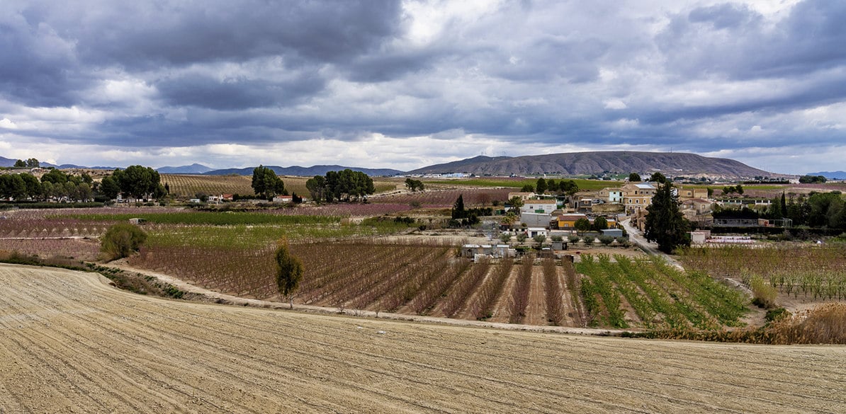 La regeneración del campo es el objetivo del proyecto Regeneration Academy