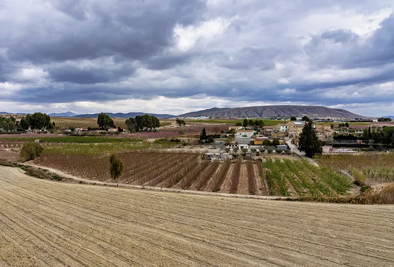 Innovación social frente a la desertización del campo