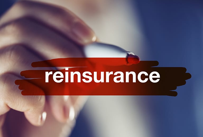 Find out about the reinsurance sector. Its approaches, challenges and concepts