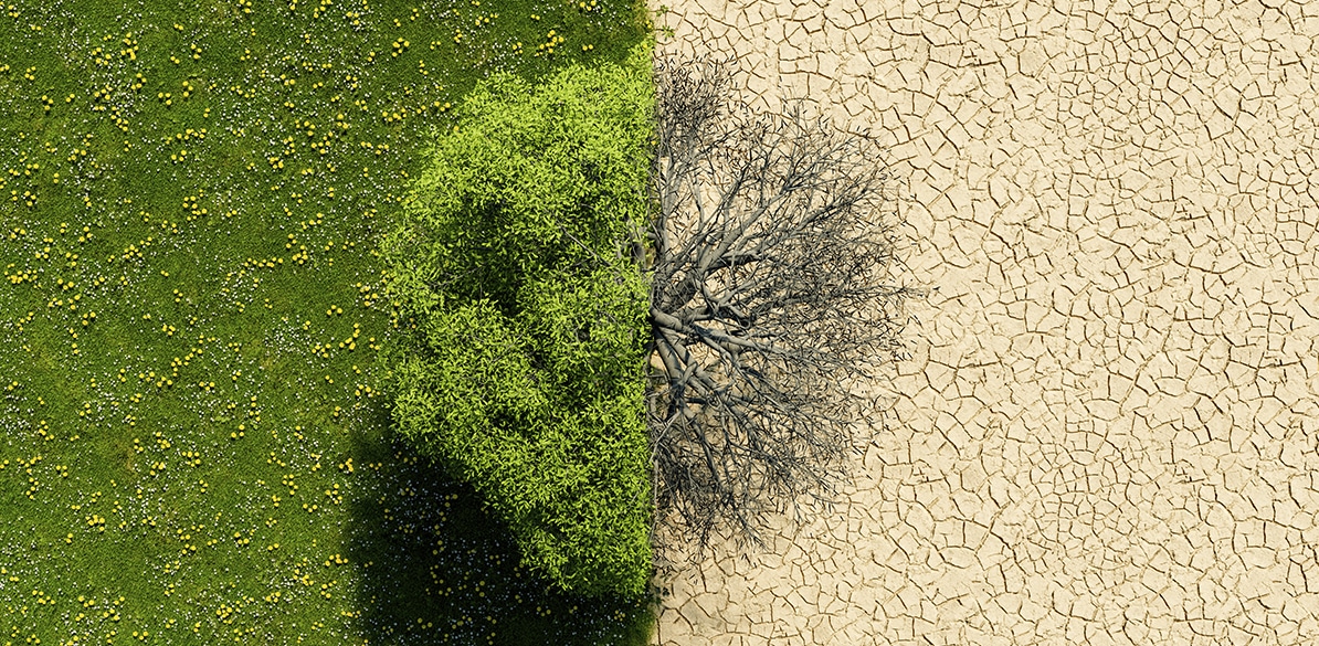 Webinar Cambio climático Webinar sobre el impacto del cambio climático