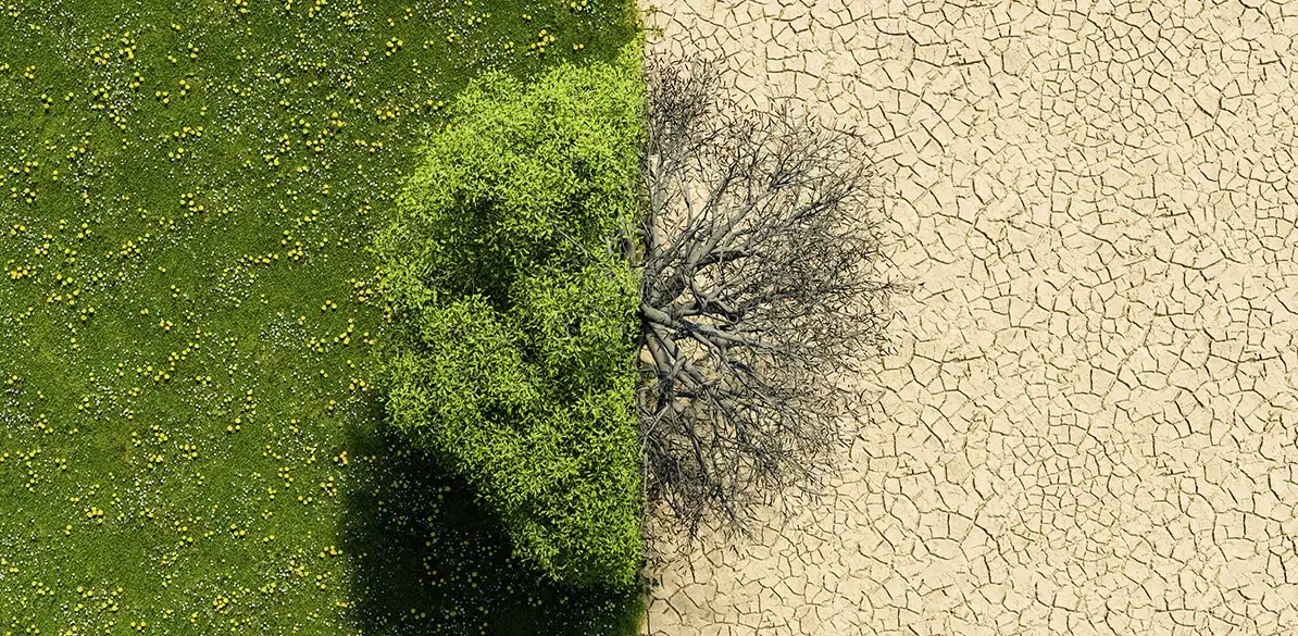 Webinar sobre el impacto del cambio climático