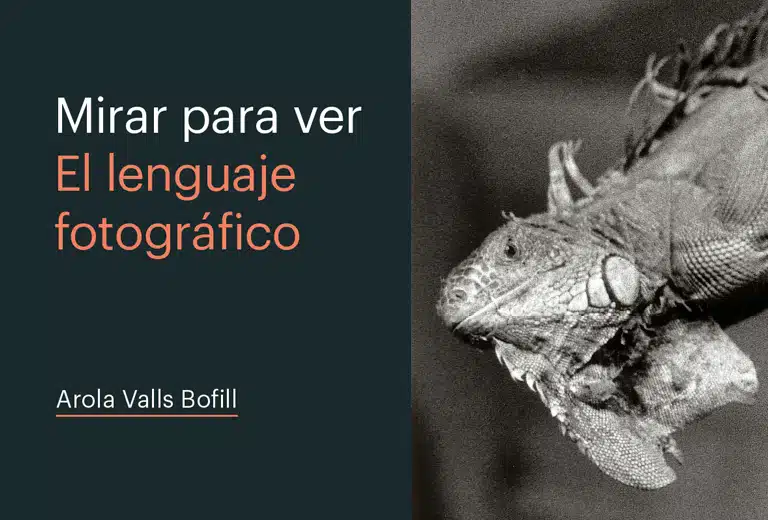 Arola Valls Bofill