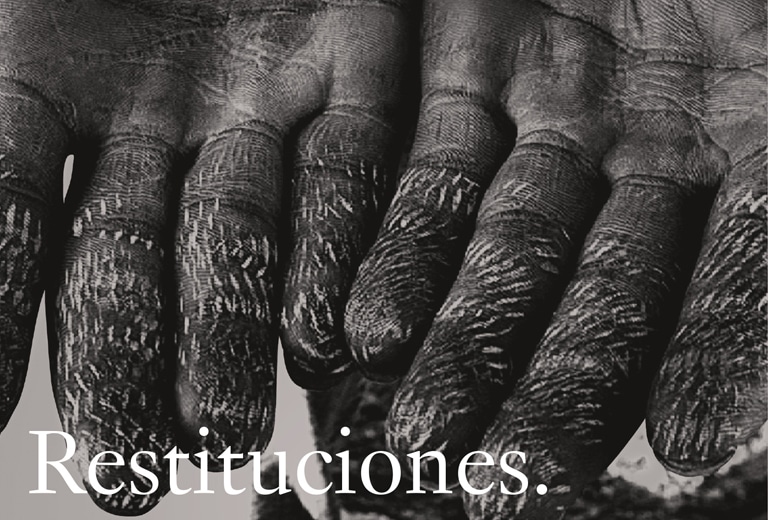 Restituciones Catálogo Restituciones