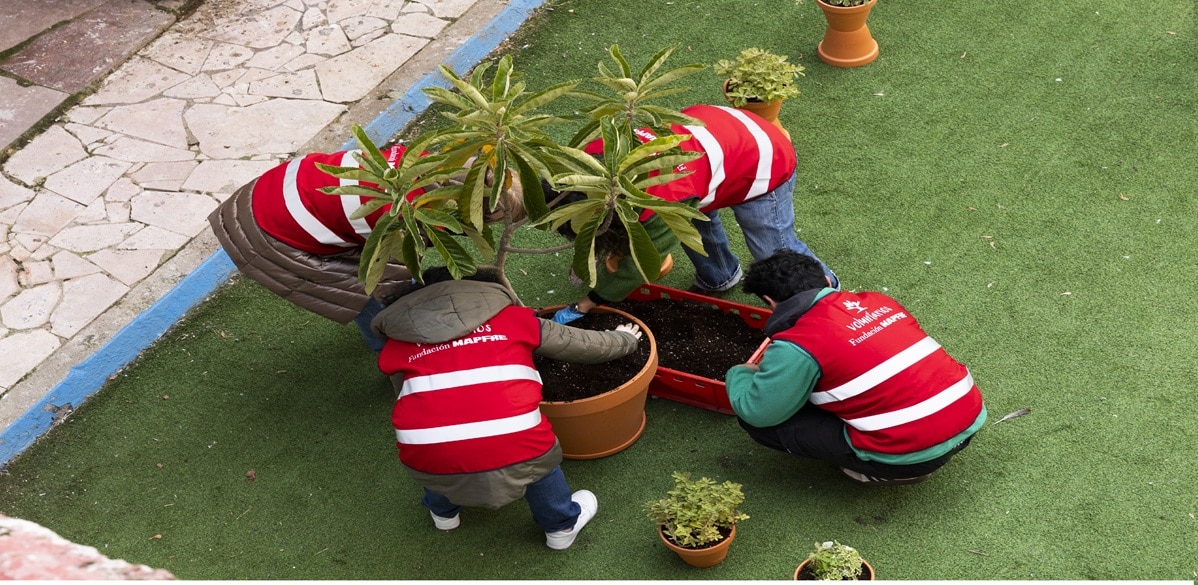 Grupo de voluntarios plantado una planta
