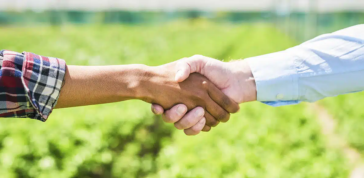 Aprendizaje en comunidad Encontrar trabajo en el medio rural