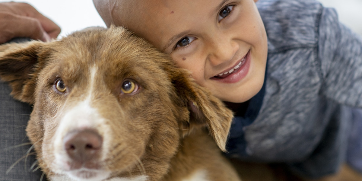 Te ayudamos a promover una convivencia más segura entre niños y otras personas con inmunodepresión y sus mascotas.